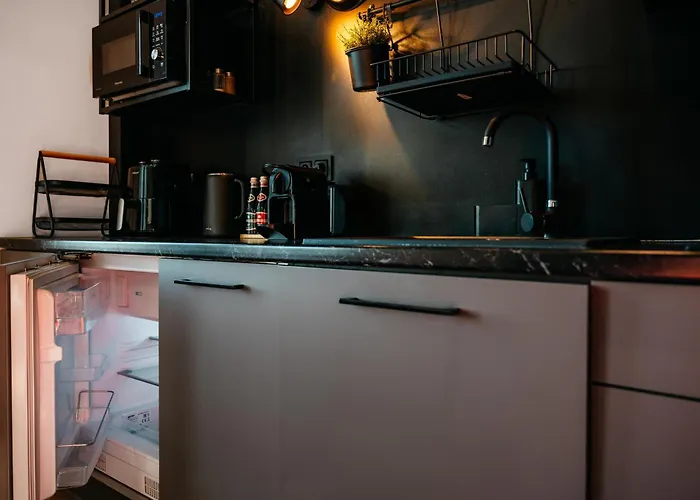 Apartment Gryf W Centrum Szczecina Parking By Stayly Stettin